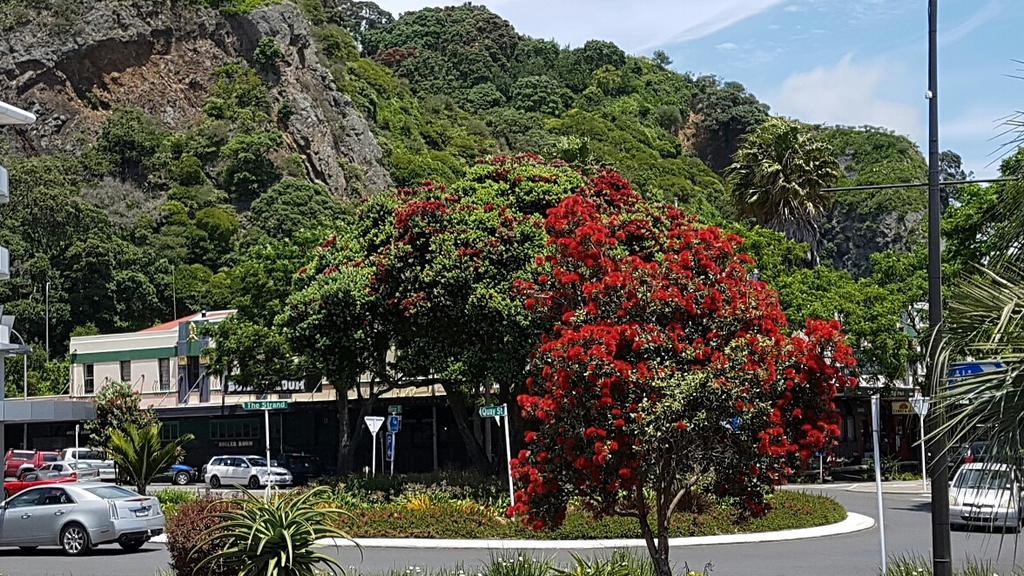 Whakatane Hotel Hotel