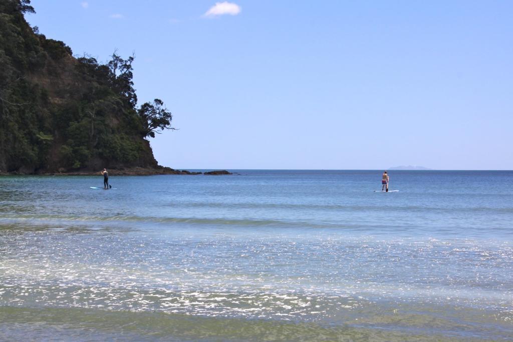 Whakatane Hotel 2* Whakatane
